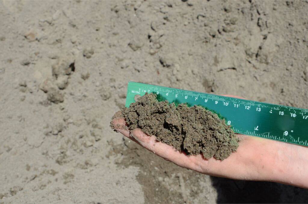 Paving Sand – Masterton Branch - alternate view