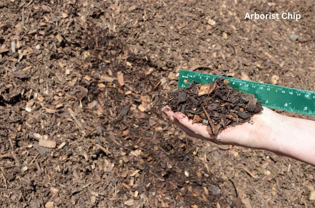 Arborist Chip – Masterton Branch - alternate view