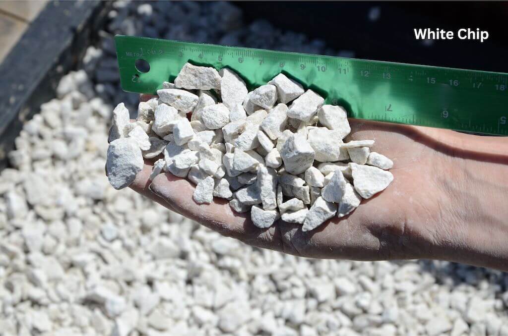 White Chip – Masterton Branch - alternate view