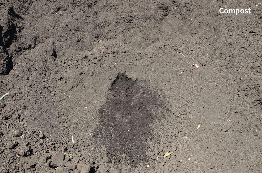 Compost – Masterton Branch