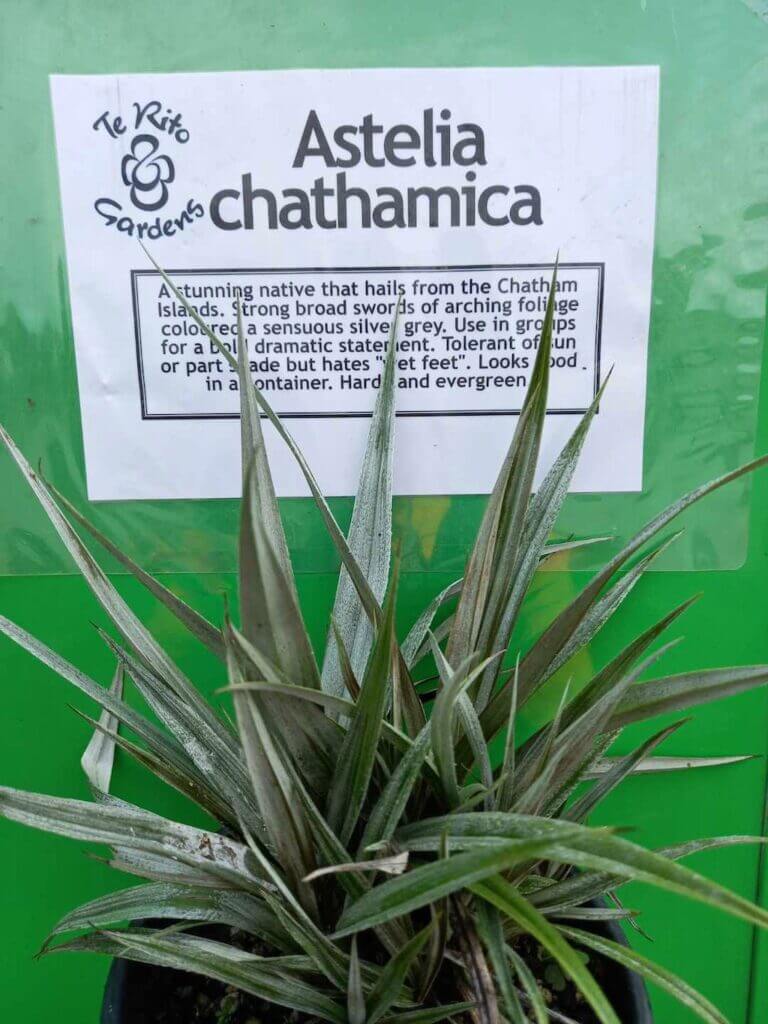 Te Rito Plants – Masterton Branch – Composting New Zealand