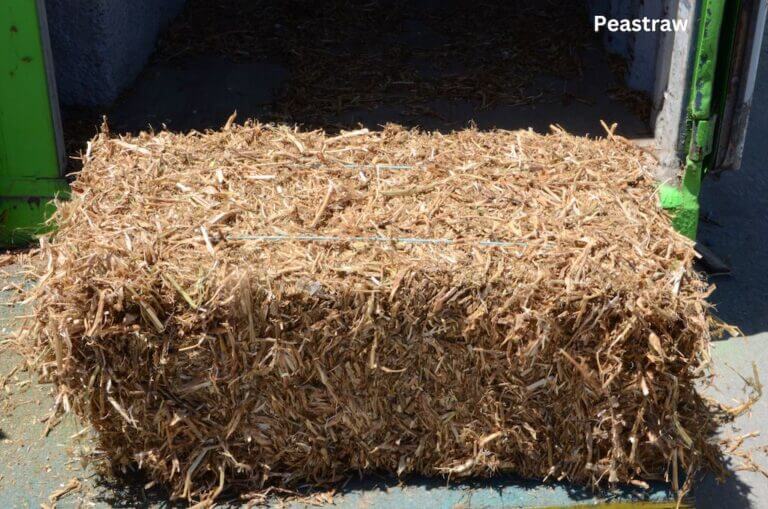 Pea Straw Masterton Branch Composting New Zealand