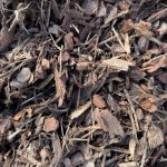 Mulched Bark